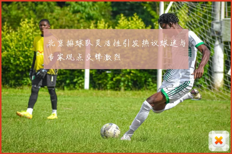 北京排球队灵活性引发热议球迷与专家观点交锋激烈