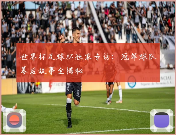 世界杯足球杯独家专访：冠军球队幕后故事全揭秘