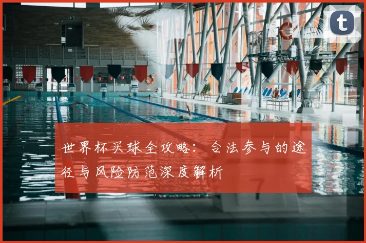 世界杯买球全攻略：合法参与的途径与风险防范深度解析