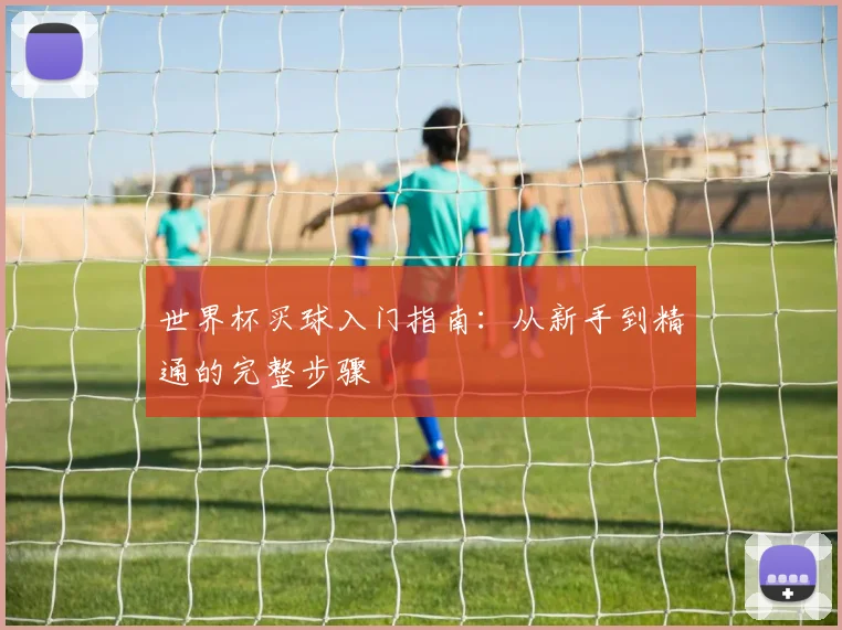 世界杯买球入门指南：从新手到精通的完整步骤