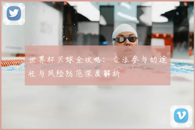 世界杯买球全攻略：合法参与的途径与风险防范深度解析