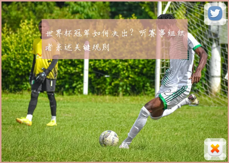 世界杯冠军如何决出？听赛事组织者亲述关键规则
