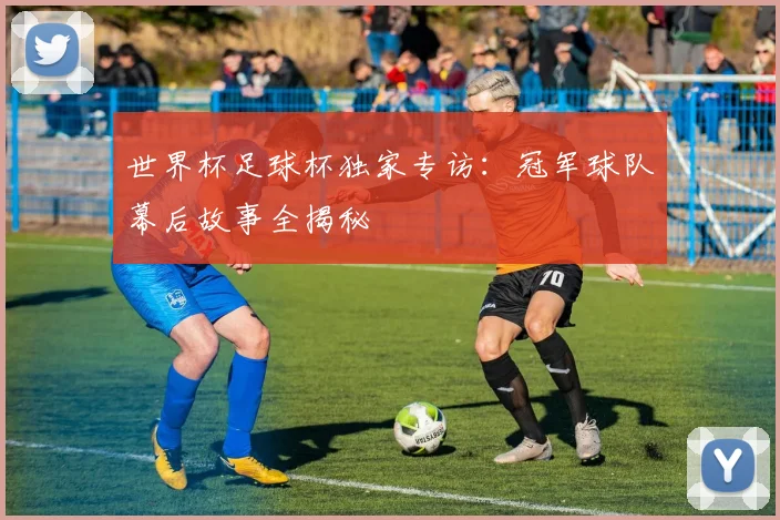 世界杯足球杯独家专访：冠军球队幕后故事全揭秘