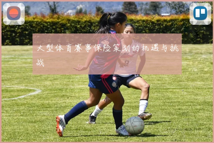 大型体育赛事保险策划的机遇与挑战