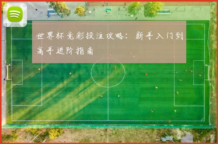 世界杯竞彩投注攻略：新手入门到高手进阶指南