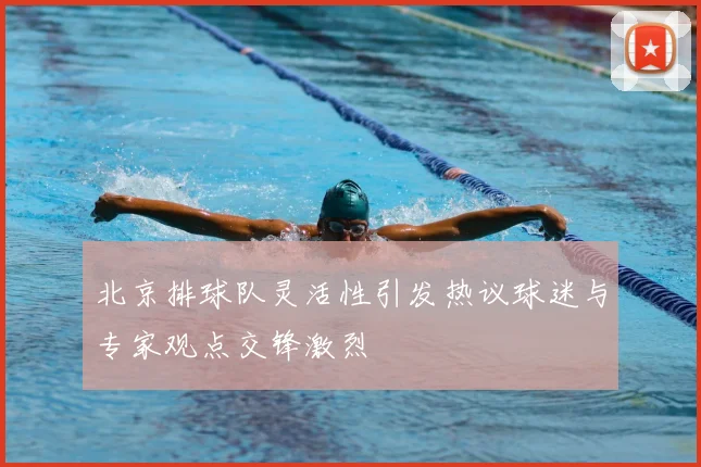北京排球队灵活性引发热议球迷与专家观点交锋激烈