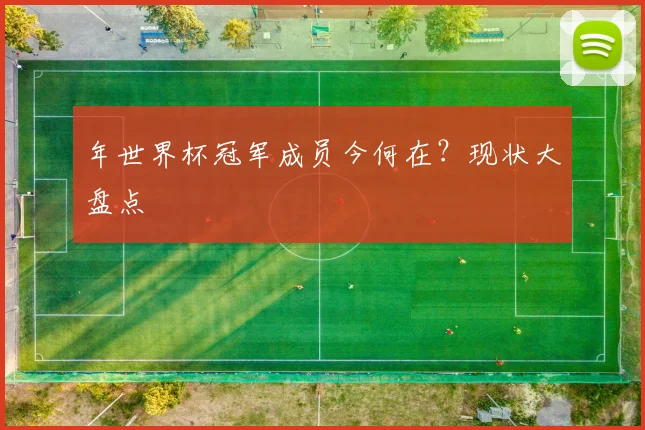年世界杯冠军成员今何在？现状大盘点